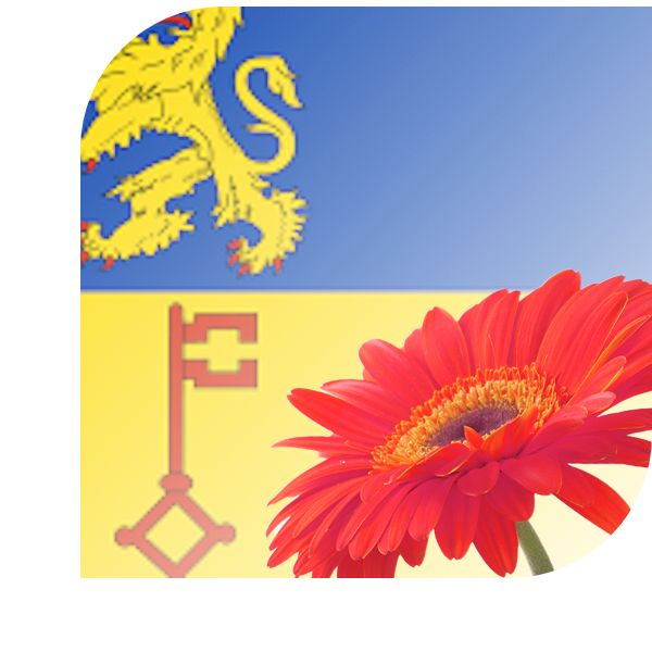 Bloemen bezorgen Vught