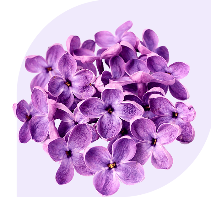 Bloemen bezorgen Tolbert