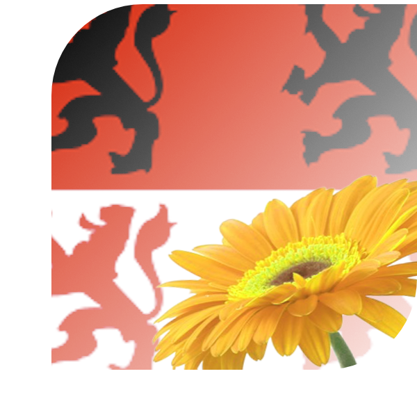 Bloemen Bezorgen Krommenie