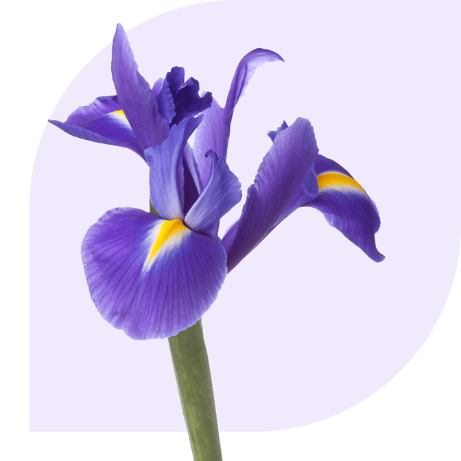 Bloemen Bezorgen Kudelstaart