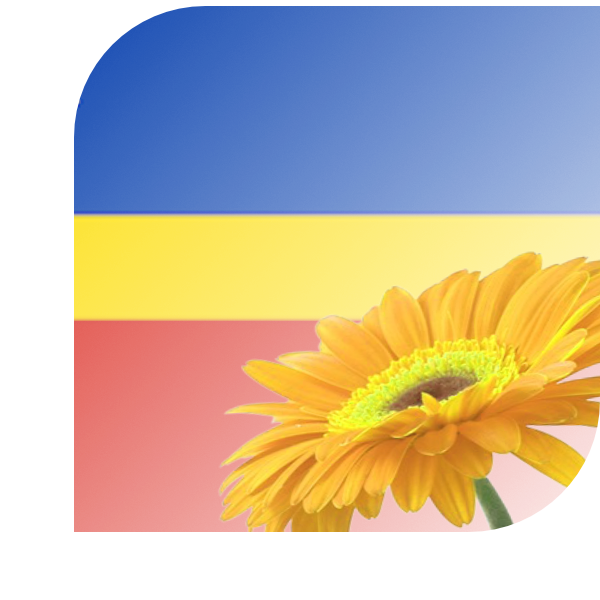 Bloemen bezorgen Waalre