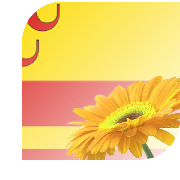 Bloemen bezorgen Haelen