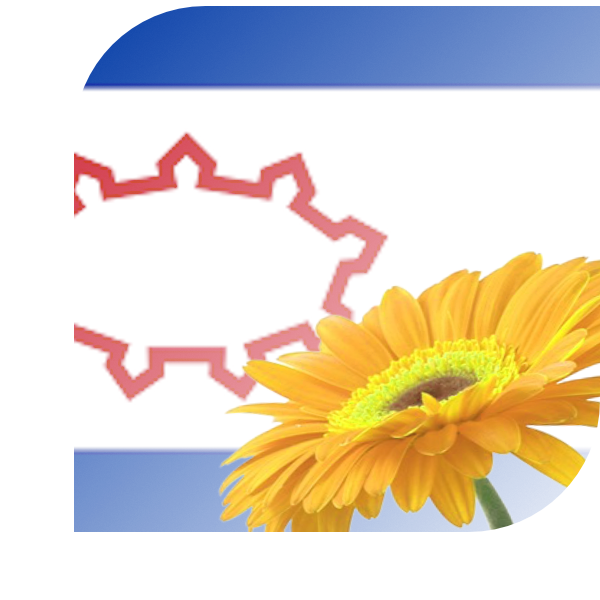 Bloemen bezorgen Winschoten