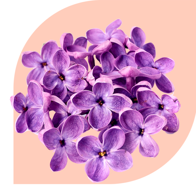 Bloemen bezorgen Daarlerveen